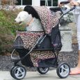 Promenade Pet Stroller for Larger or Multiple Dogs and Cats