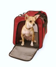 The Collapsible Pet Travel Crate by Snoozer (TRAVEL CRATE SIZE: Small 18â€L x 12â€W x 12â€H)