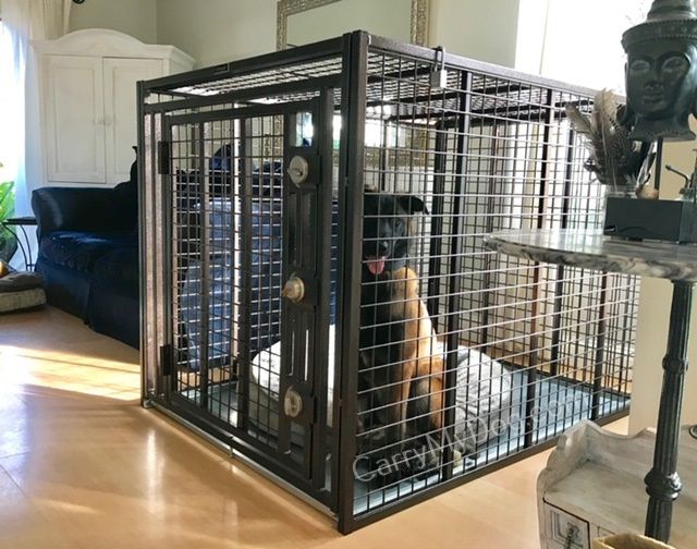 heavy duty steel dog crate