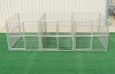 Heavy Duty 3-Run Dog Kennel 6'x8'x6' w/Fight Guard Dividers