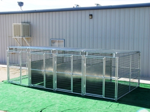 dog kennels with dividers