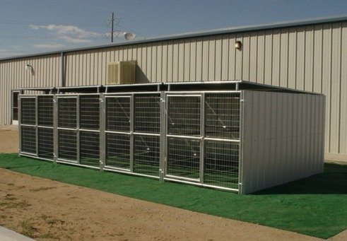 6 run dog kennel