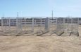Heavy Duty 5-Run Dog Kennel 6'x12'x6' Steel Construction