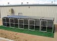 Heavy Duty 5-Run Dog Kennel 5'x10'x6' 3 Covered Sides / Roof