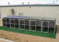 Heavy Duty 5-Run Dog Kennel 5'x10'x6' 3 Covered Sides / Roof