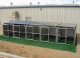 Heavy Duty Dog Kennel 5-Run 6'x12'x6' Shed Row Style Roof Shelter