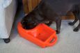 All In One Portable Dog Food & Water Dispenser