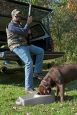 All In One Portable Dog Food & Water Dispenser