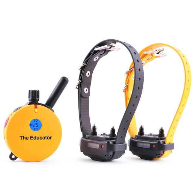 Educator Dog Training Collar Educator Dog Training Collar