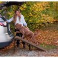 Free Standing Extra Wide Pet Ramp