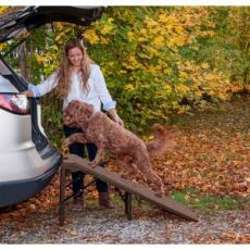 Free Standing Extra Wide Pet Ramp