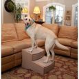Extra Wide Pet Stairs Easy Step II by PetGear