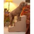 Easy Step III Extra-Wide Pet Stairs by PetGear