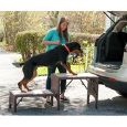 Pet Stair Free Standing Foldable by PetGear