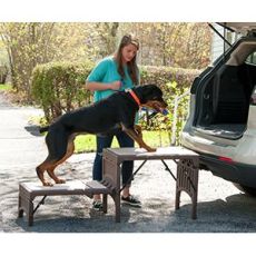 Pet Stair Free Standing Foldable by PetGear