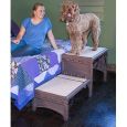 Pet Stair Free Standing Foldable by PetGear