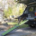 Extra Wide Pet Ramp w/Poly Grass Surface by Gen7Pets