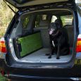 Extra Wide Pet Ramp w/Poly Grass Surface by Gen7Pets