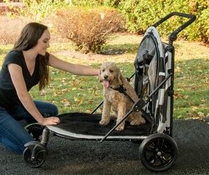 no zip dog stroller