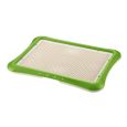 Paw Trax Mesh Training Tray for Puppies by Richell
