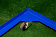 Rolling Base for all Dog Crates