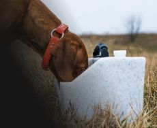 Ruff Tough Kennels Portable Dog Water Dish