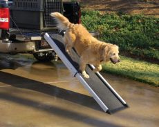 Mr. Herzher's Smart Dog Ramp