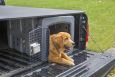 Dakota 283 T1 Low Profile Dog Kennel | Carry My Dog