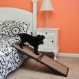 Mini Ramp for Indoor Use Safe-Grip Carpet Pads by Gen7Pets