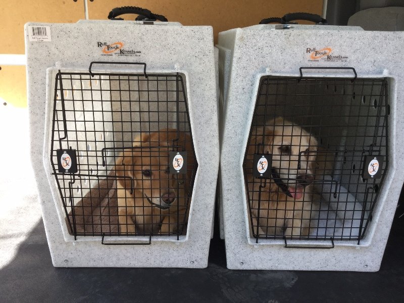 ruff tuff dog crates