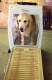 Ruff Tough Kennels Affordable Intermediate Dog Kennel