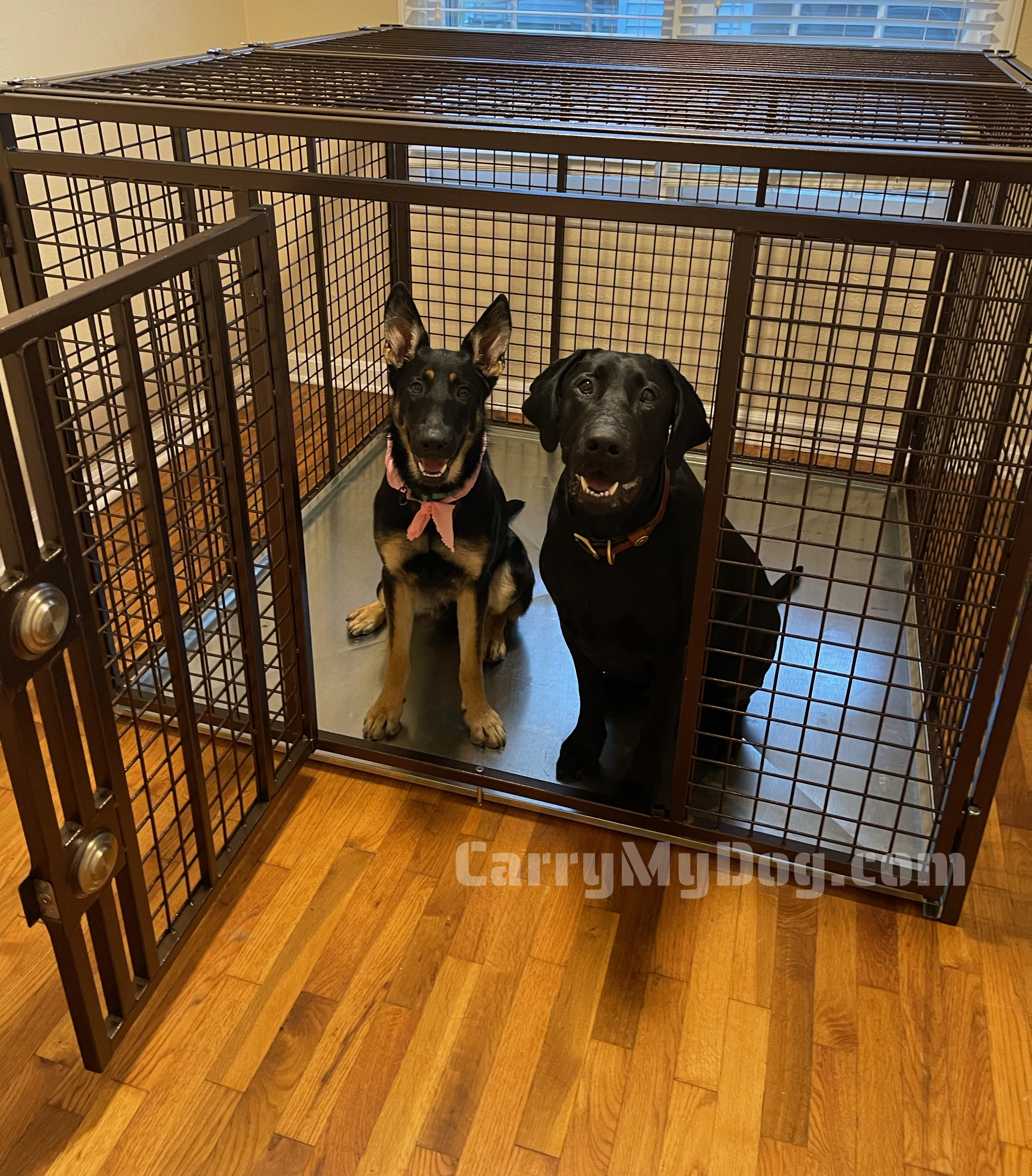 Xtreme heavy duty dog crates