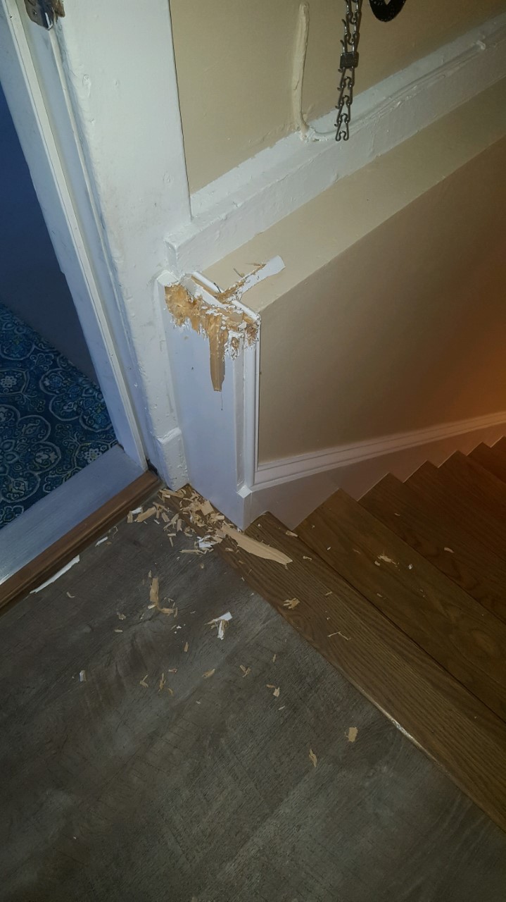 High Anxiety dog Lyle has at the door facing High Anxiety dog Lyle has at the door facing