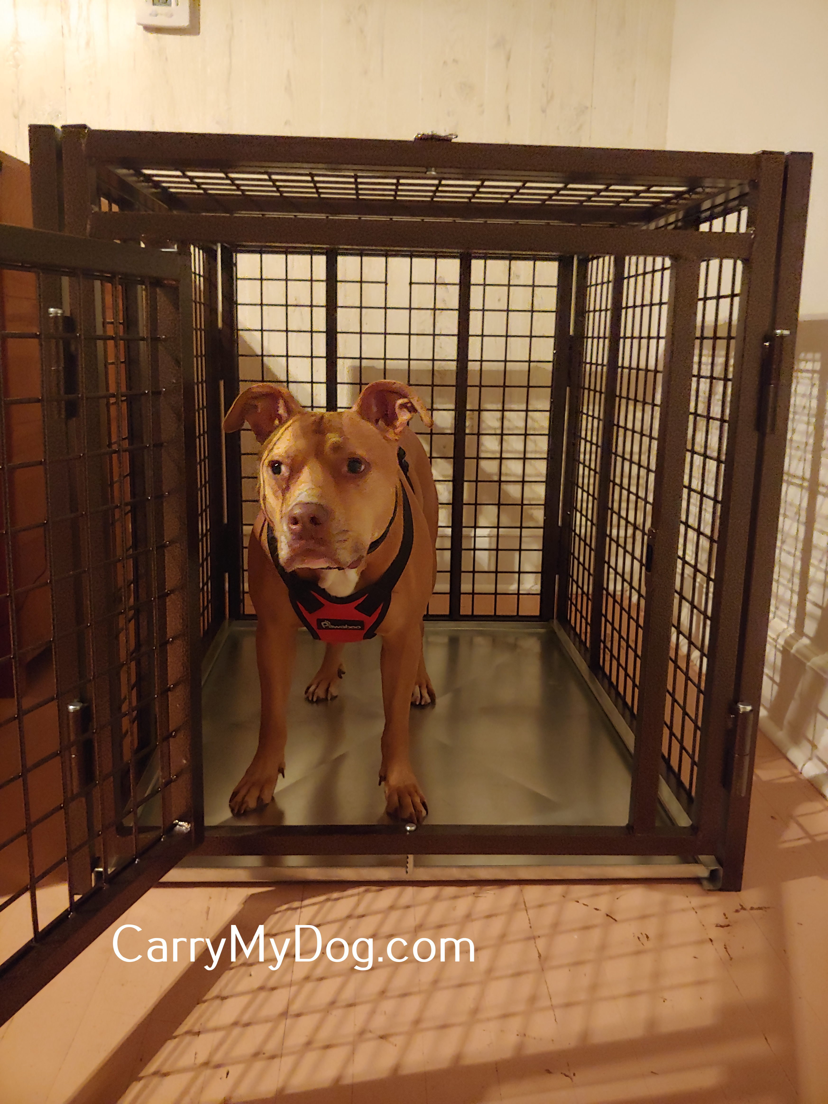 Stephanie_Dog_Xtreme_Heavy_duty_dog_crate_from_carrymydog.com