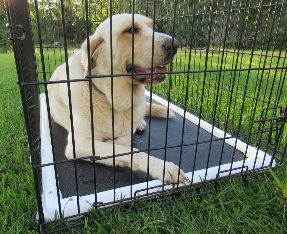 crate liner