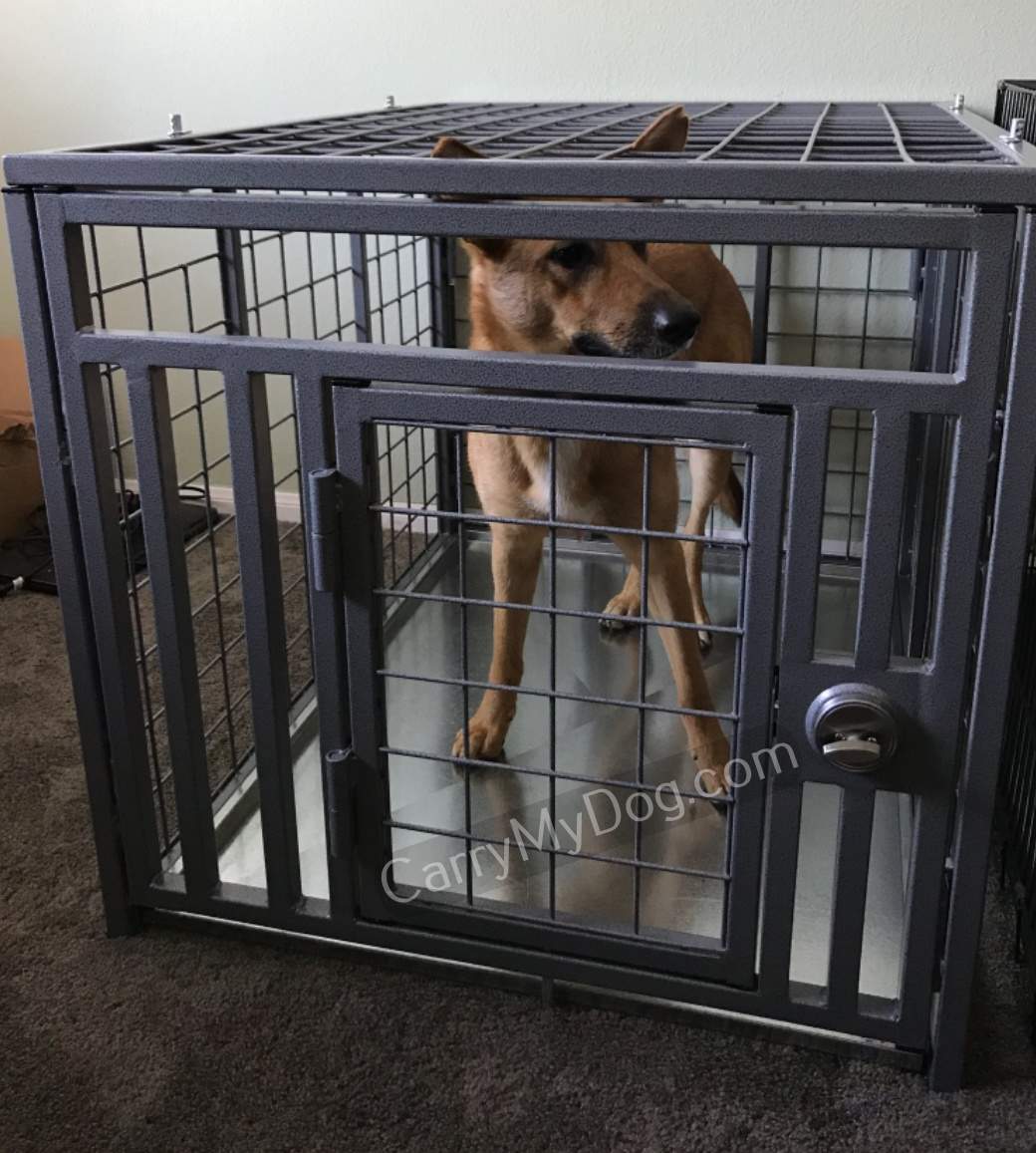carrymydog.com-customer-CAJohnAfter-Xtreme-dog-crate-2