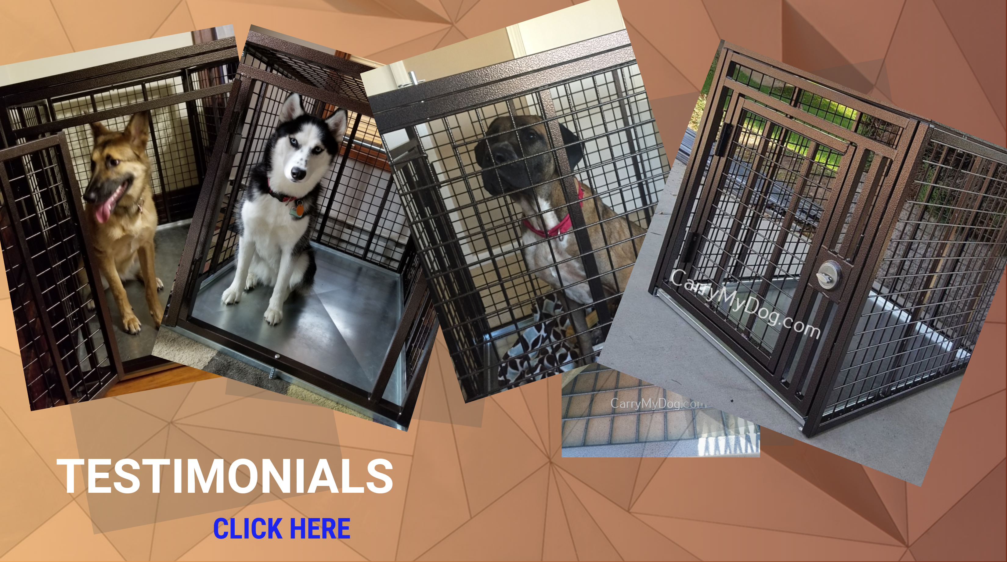 Xtreme Heavy duty dog crates from carrymydog.com testimonials