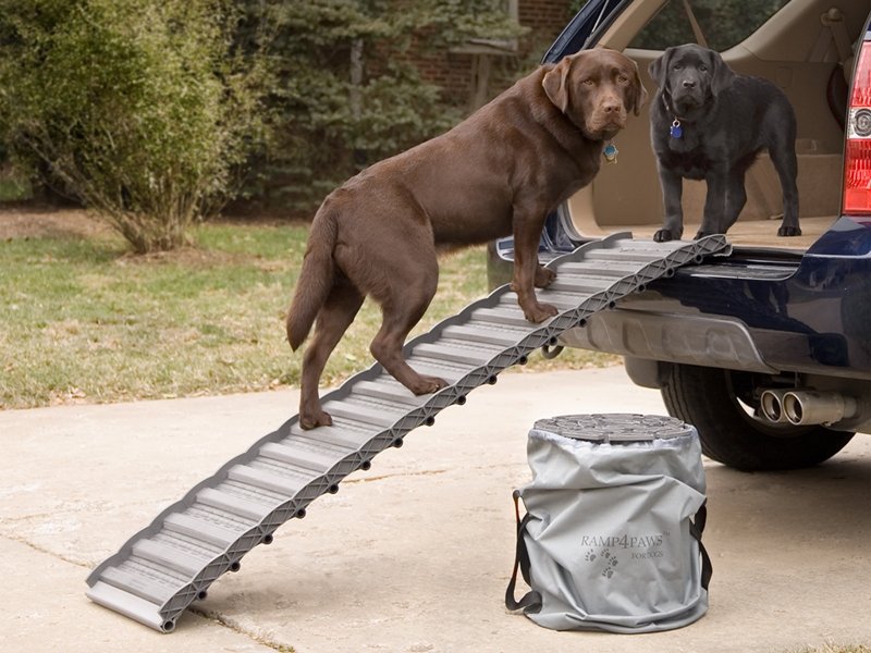 tailgate dog ramp