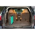 Pet Ramps with SupertraX Super Grip Surface Pad
