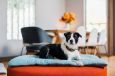 Dog Bed Cushion Crate Pads Eco Friendly 5 Colors