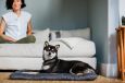 Dog Bed Cushion Crate Pads Eco Friendly 5 Colors