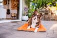 Dog Bed Cushion Crate Pads Eco Friendly 5 Colors