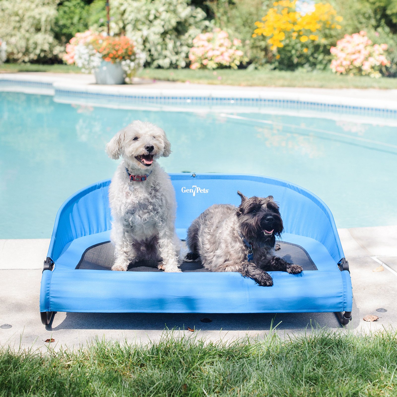 The CoolAir Dog Cot An Outside Dog Bed to Use Anywhere