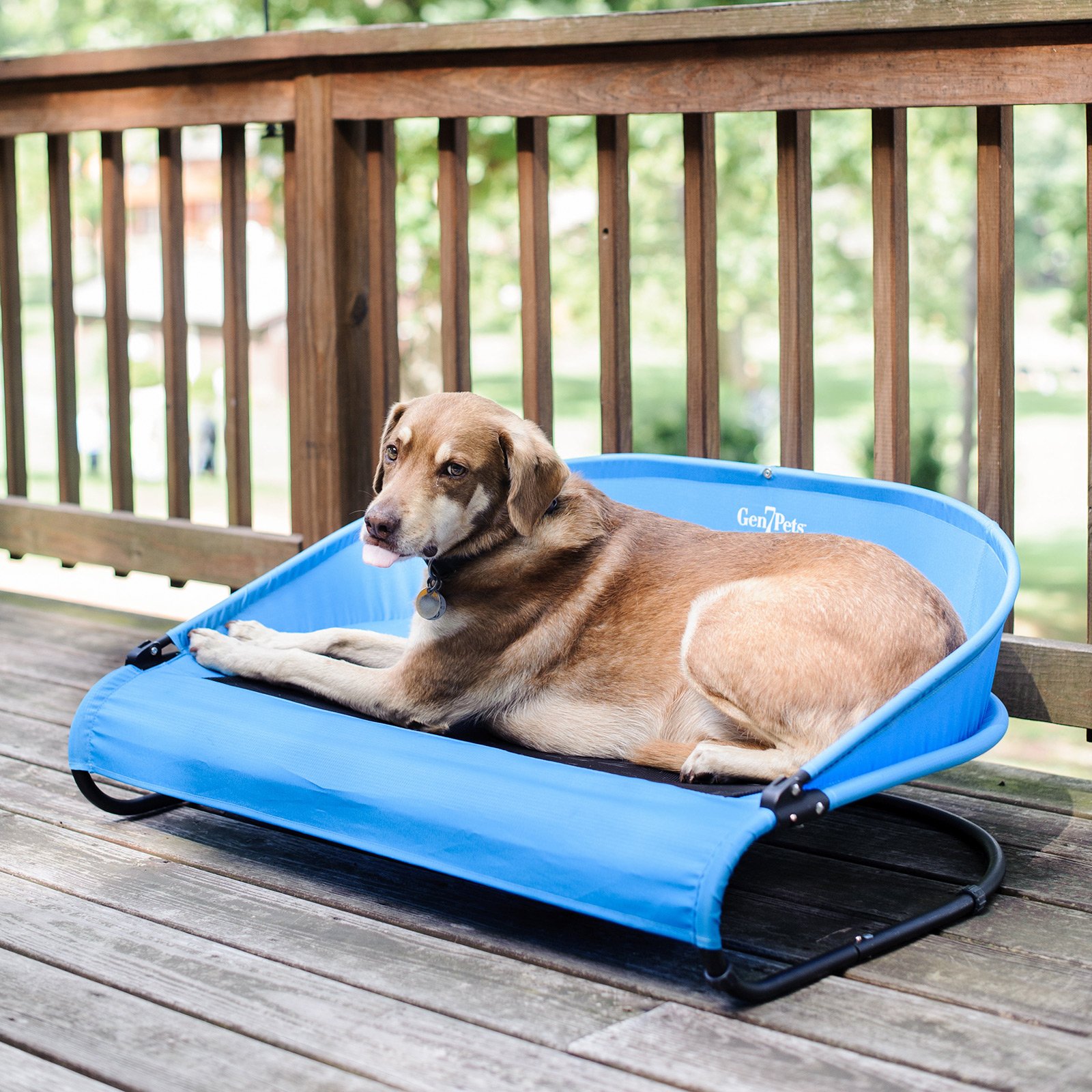 The Cool-Air Dog Cot An Outside Dog Bed to Use Anywhere