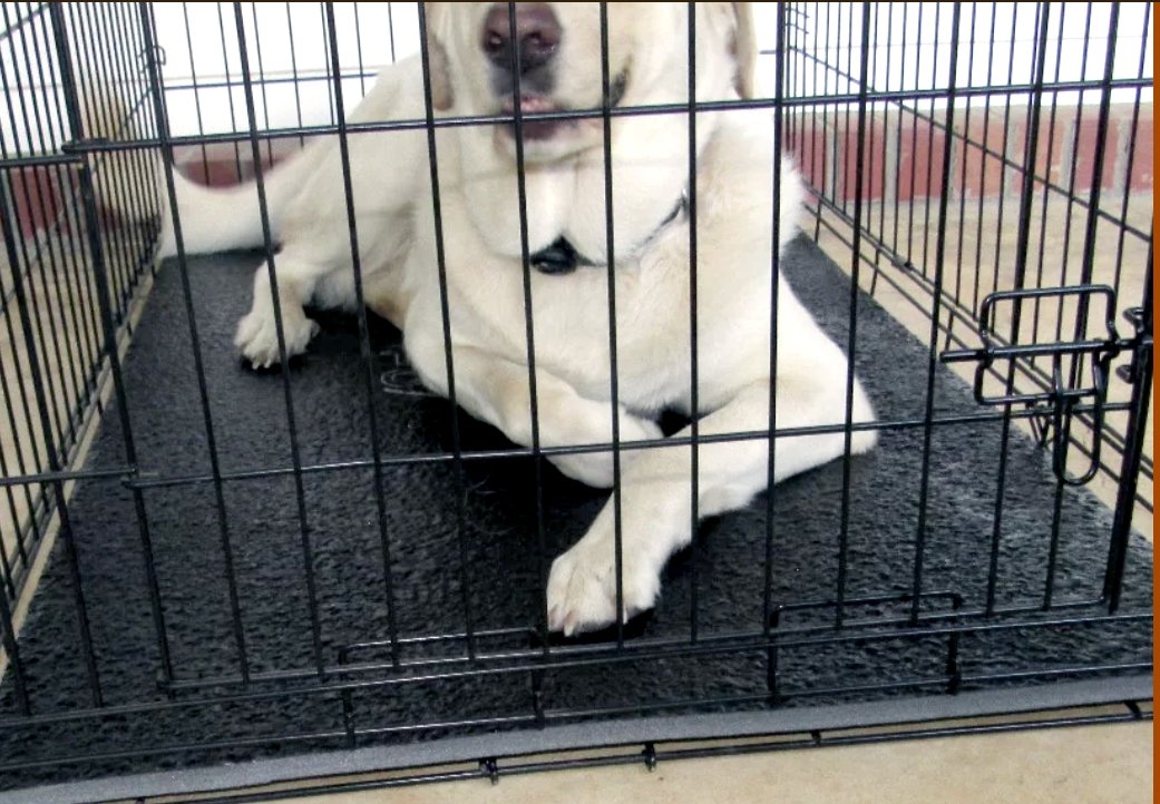 indestructible kennel mat