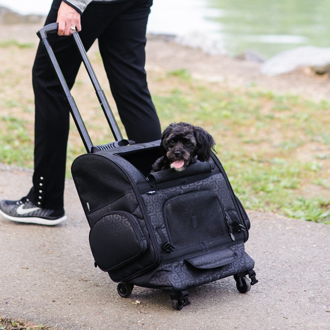The Roller Pet Carrier from Gen7Pets is a 3 in 1 Pet Carrier