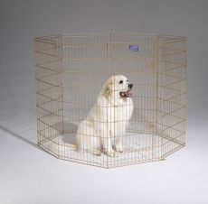 Gold Zinc Pet Exercise Pen - Steel Construction (SELECT GOLD ZINC PEN SIZE: SMALL  24"W x 24"H Panels)