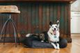 MEMORY FOAM COMFORT DOG BEDS | P.L.A.Y.