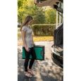 Pet Ramps with SupertraX Super Grip Surface Pad