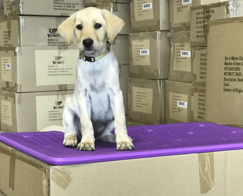 SUPER KENNEL PAD FOR YOUR RUFF TOUGH KENNEL